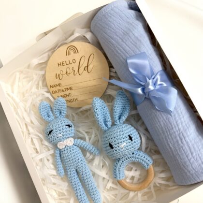 Mini Box-Hello World